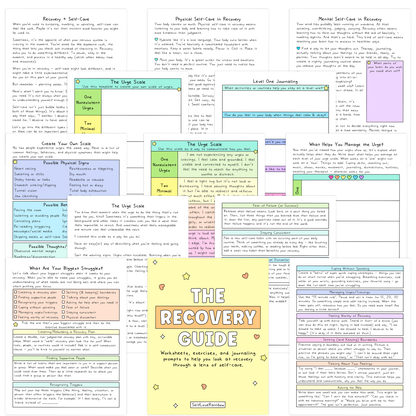 The Recovery Workbook, Journal, & Tracker
